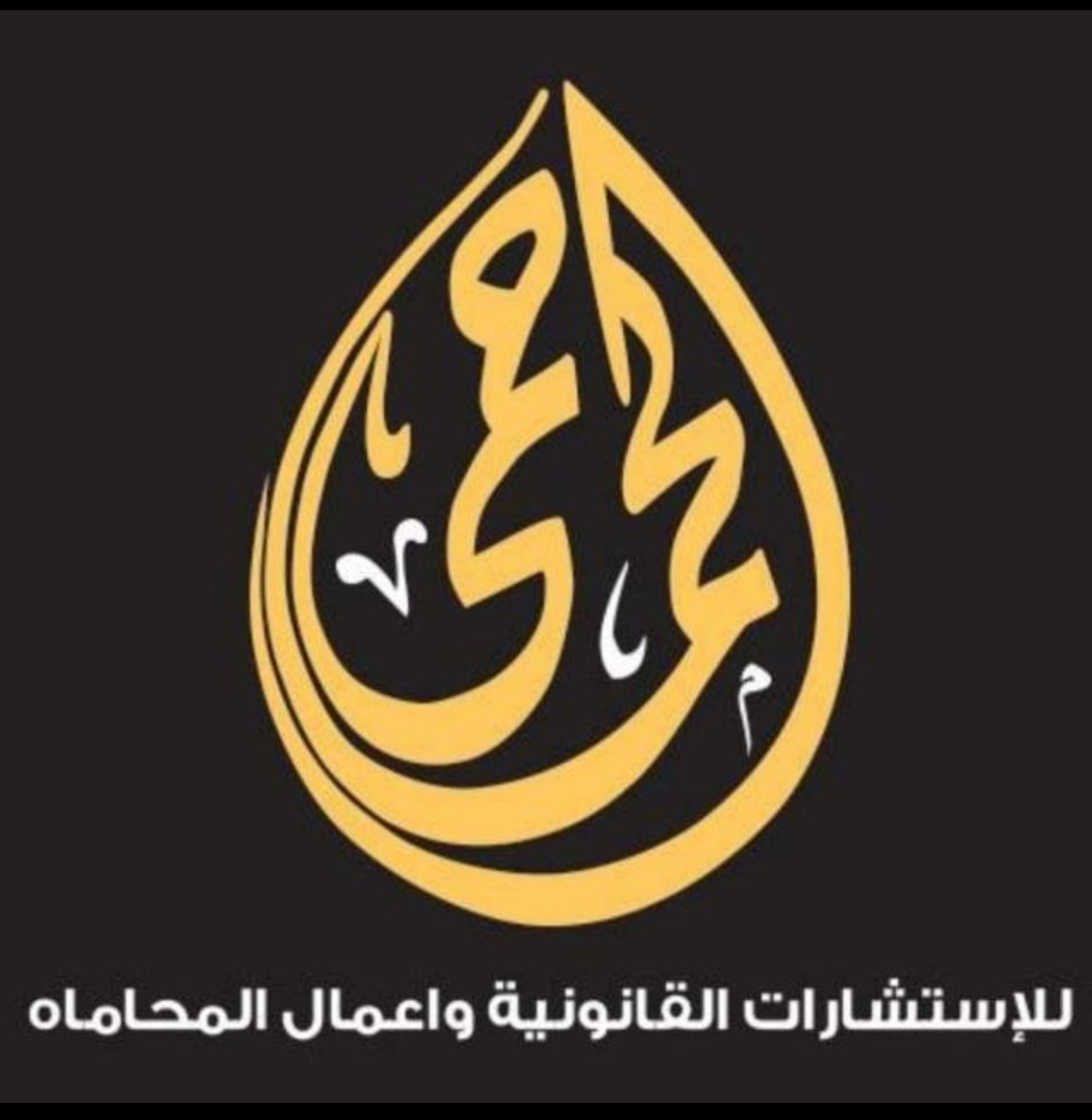 عمرو احمد الحماحمي