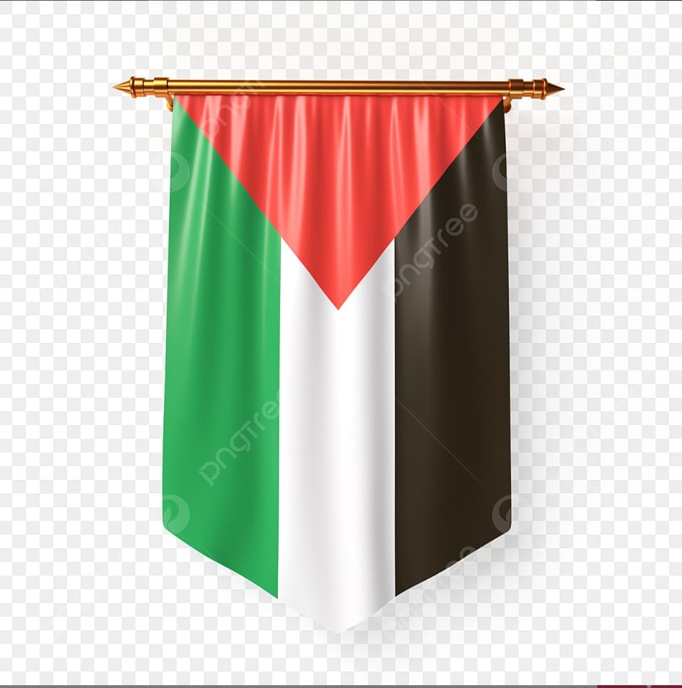 ضياء الدين محمود علي